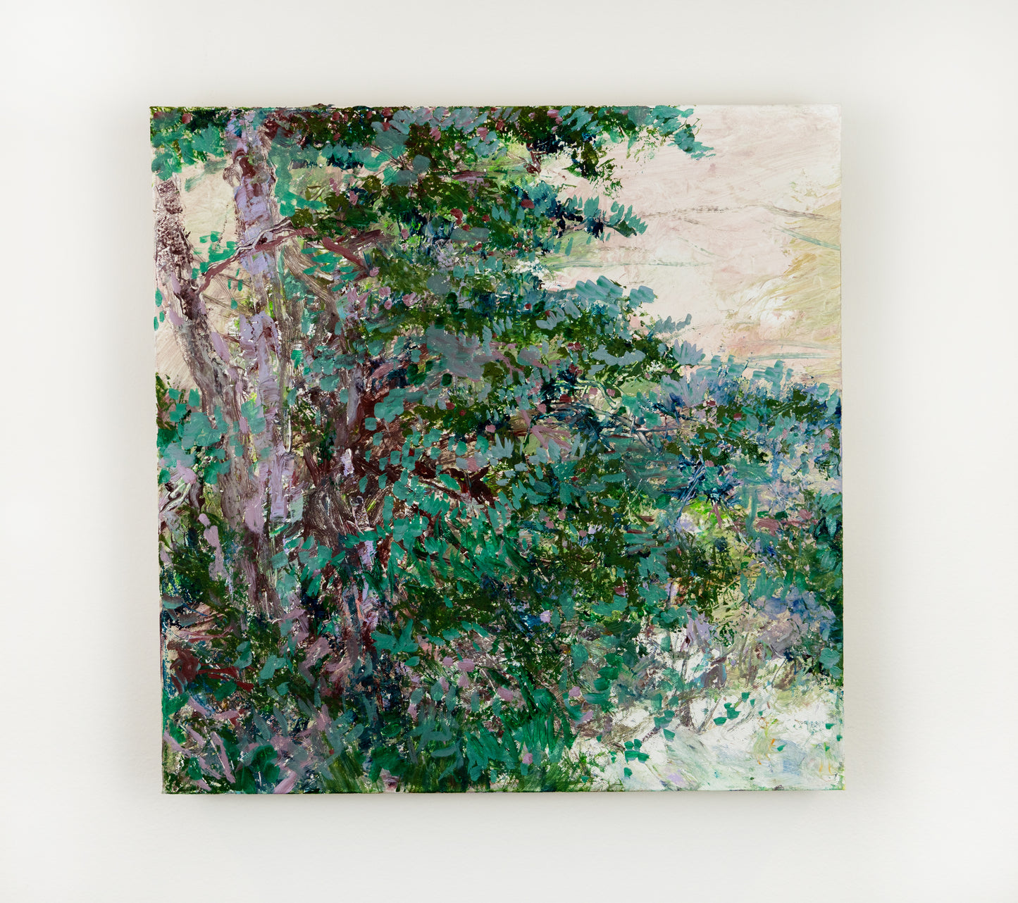 Ash Tree in the Breeze